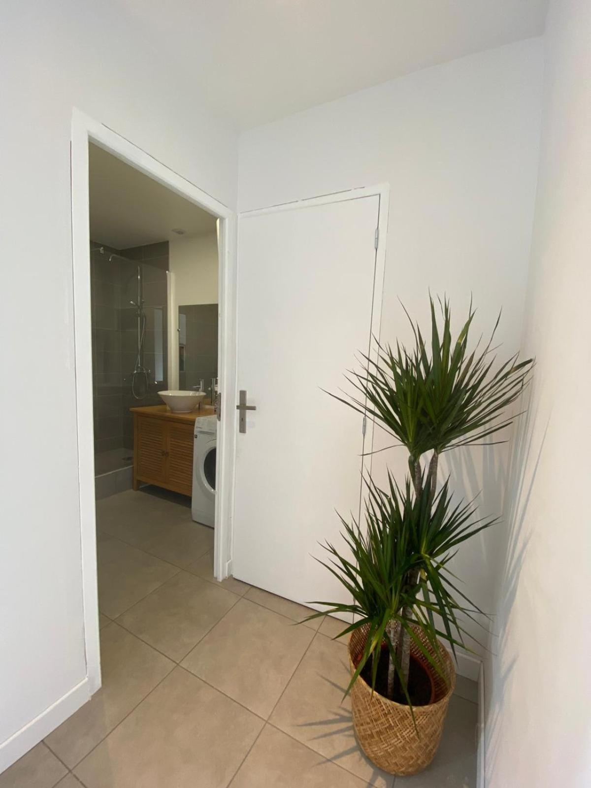 Family House - Centre Gare Apartman Roanne Kültér fotó
